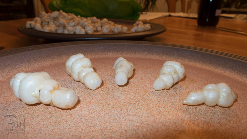 Crosnes du Japon